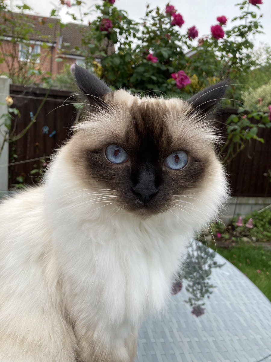 Angela Ede tweet media