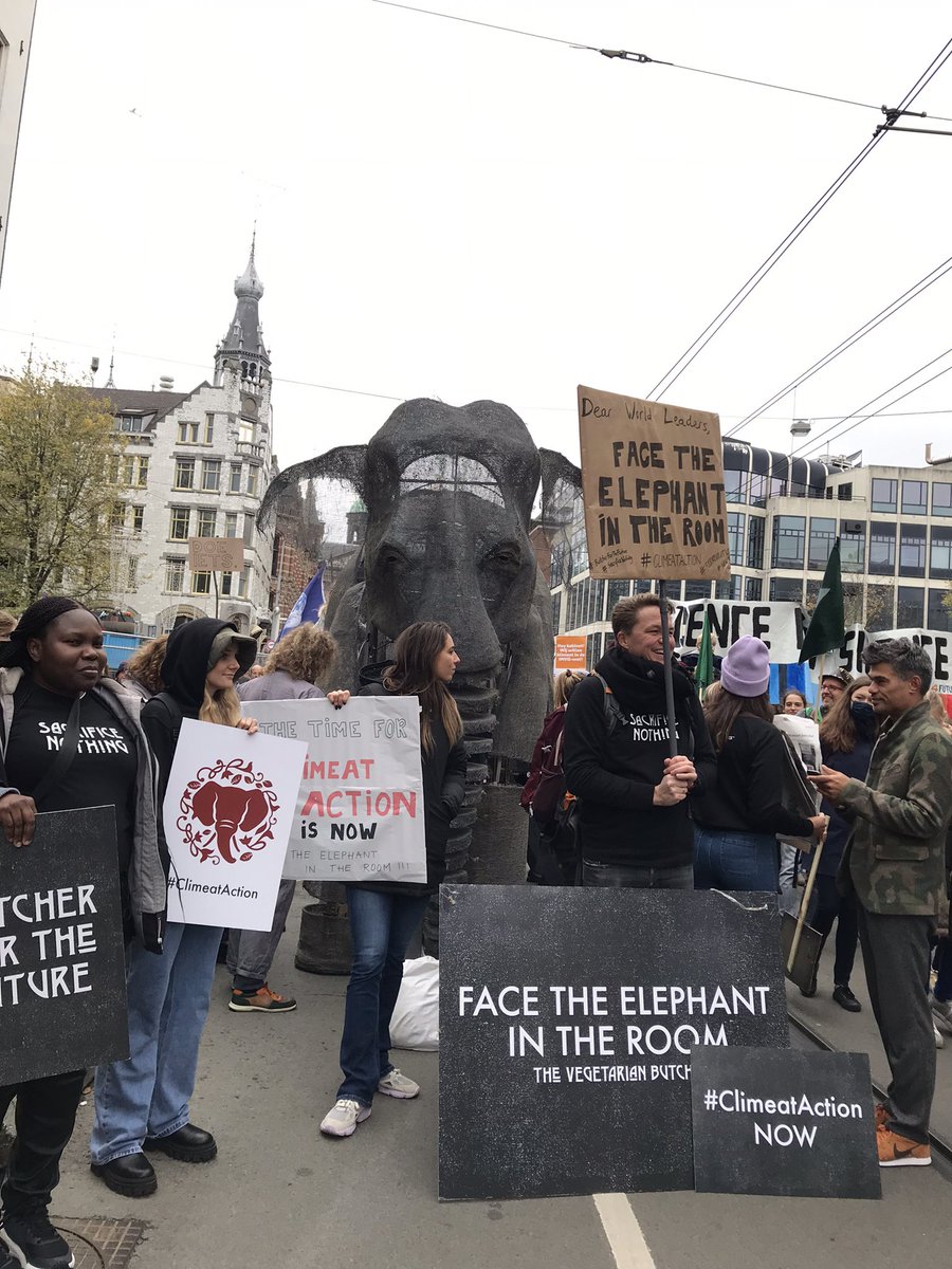 mehmanib's tweet photo. #Klimaatmars #ClimateActionNow #ClimateEmergency https://t.co/bmeYuLHhVI