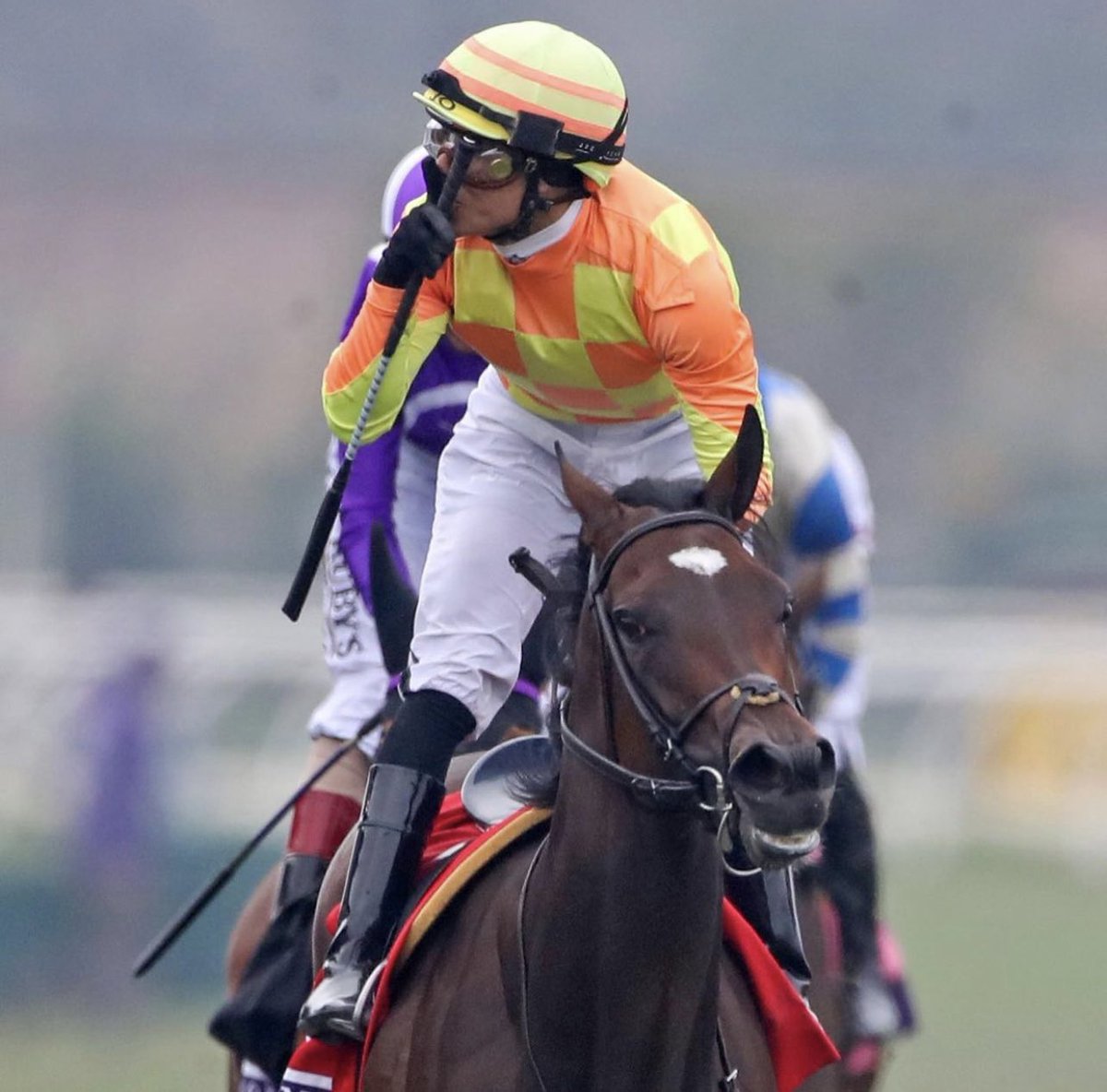 TracksideMikeN's tweet photo. not many people realized what @jose93_ortiz did in this photo
he honored @_MIGUELMENA_ 
much respect Jose 
@joesantos_33 https://t.co/66i93j9xOY