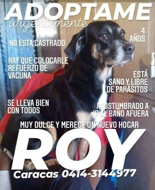 #UnHogar para Roy #Caracas