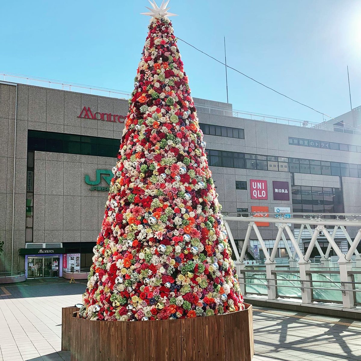 bass69s's tweet photo. 今日から「高崎光の��ージェント2021」が高崎駅周辺からまちなかで開催。(^^)v高崎駅西口の高崎オーパ前の「フラワーツリー」がキレイ❣️
#高崎光のページェント2021 #高崎光のページェント #イルミネーション #フラワーツリー #高崎駅 #高崎駅西口 #高崎OPA #高崎オーパ #群馬県 #高崎市 #高崎 https://t.co/NRuE4oGnln