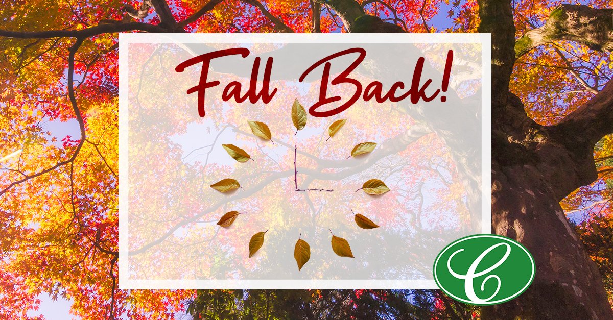 ColeLandscape's tweet image. Don&apos;t forget to turn back your clocks! While you&apos;re at it, test your smoke alarm, carbon monoxide detectors and check the various filters that you have in your home. #colelandscape #daylightsaving #fallchecklist #colelandscaping #fallback