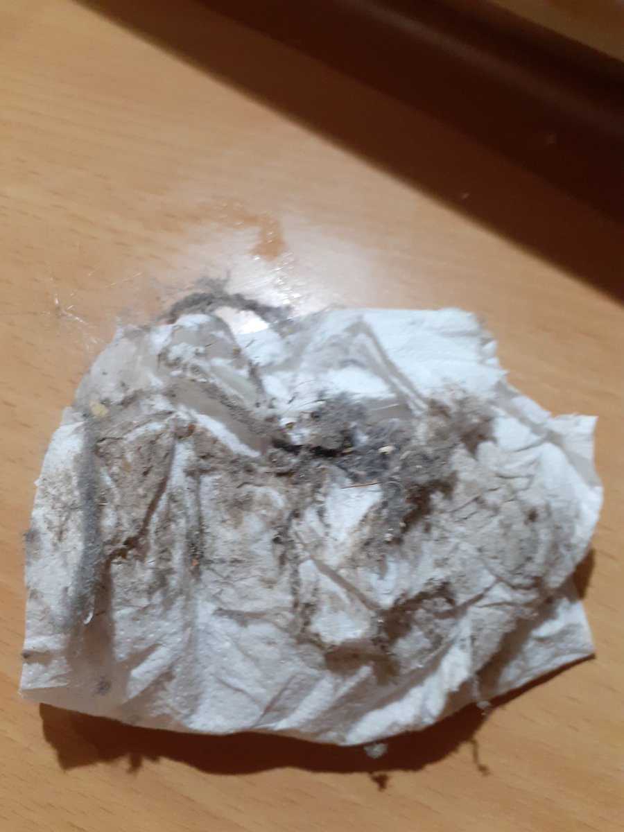 rotarad1's tweet photo. #Radiator full of dust after leaving it for 6 months purposely! 

We advise to clean the dust behind your radiators in the summer months, as once they are switched back on the dust recirculates

#clean #dust #centralheating #plumbing #plumbers #asthma #indoorairquality #health https://t.co/8cRXcgmL5i
