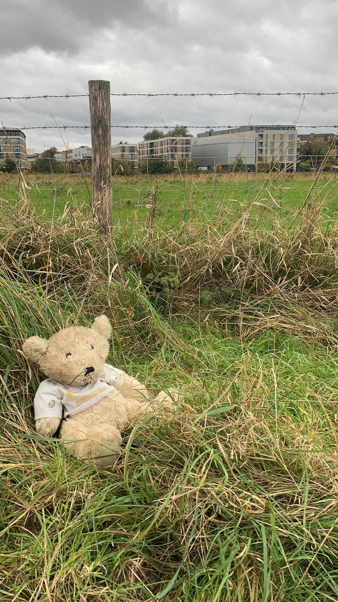 #lostteddy rescued from behind barbed wire on #WalthamstowMarshes. Waiting to be picked up by owner 🧸🙂<a href="/WeLoveE17Marsh/">Walthamstow Marsh & E17 Wetlands</a> <a href="/WalthamstowLife/">Walthamstow Life</a> <a href="/WalthamStuff/">WalthamStuff</a> @E17Wetlands