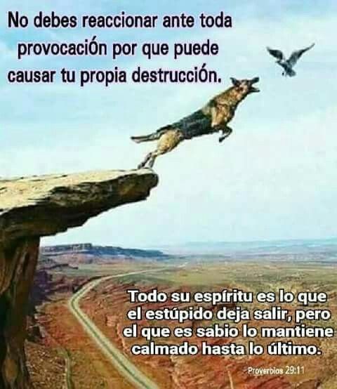 TechnoMotores96's tweet photo. Buen dia:
Pasamos a dejar éste consejo para que aprendamos a responder serenamente, y nunca reaccionar impulsivamente.
Ejercer dominio propio no es fácil, pero con CRISTO podemos lograrlo, actuando con templanza y madurez.
Recordemos que nuestros actos reflejan nuestro interior. https://t.co/OWQlZ3ZEDU