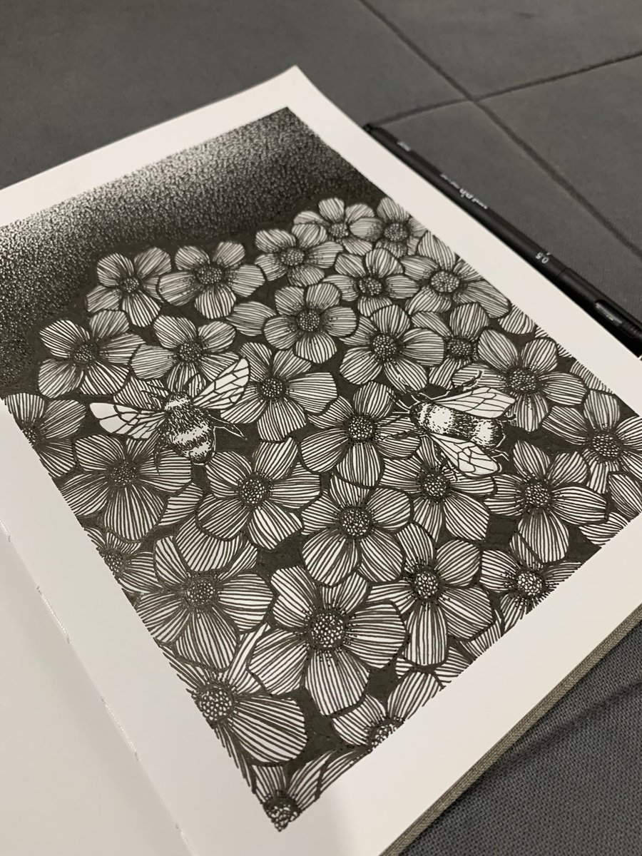 Hanna Alkaf tweet media