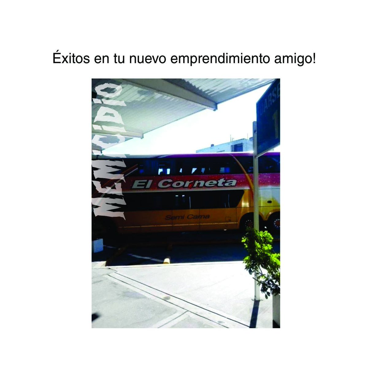 memicidio's tweet photo. Te va a ir genial 😂
.
.
.
.
.
#meme #memicidio #mardelplata #emprendimiento #amigo #amigos #colectivo #viaje #viajes #turismo #nuevo #exito #empresa https://t.co/lzHc0mqVCP