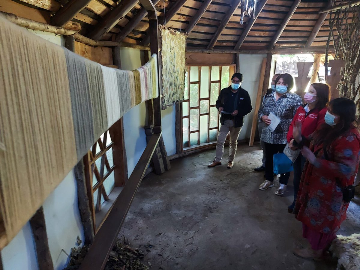 anahormazabal's tweet photo. Para conocer el trabajo textil de rescate de tintes naturales y su aplicacion en el diseño de telares, visitamos la ruka de María Curaqueo del proyecto "Mallo, Colores Ancestrales" @CONADI_Gob el que se expone a visitantes y comunidades.#TelarMapuche #ChileSeRecupera 🇨🇱 https://t.co/9IzrXWOK88