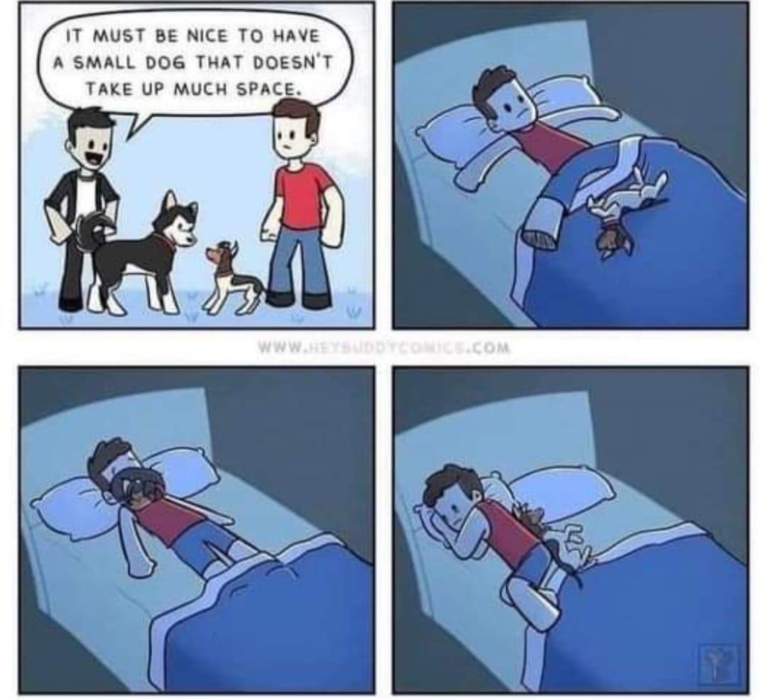 I’m sure this must have been made about me 👀……