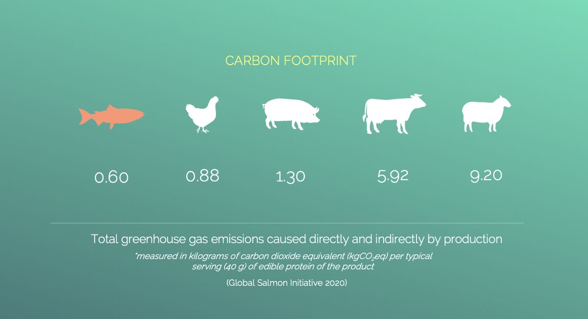 BioFeyn (@biofeyn) on Twitter photo Did you know farmed salmon have the lowest carbon footprints of any major farmed animal? #COP26 <a href="/SkrettingGroup/">Skretting Group</a> <a href="/KvaroyArctic/">Kvarøy Arctic Salmon</a> <a href="/AkerBioMarine/">Aker BioMarine</a> #bluefoods <a href="/ladygaga/">Lady Gaga</a> <a href="/Nigella_Lawson/">Nigella Lawson</a> Did you know farmed salmon have the lowest carbon footprints of any major farmed animal? #COP26 <a href="/SkrettingGroup/">Skretting Group</a> <a href="/KvaroyArctic/">Kvarøy Arctic Salmon</a> <a href="/AkerBioMarine/">Aker BioMarine</a> #bluefoods <a href="/ladygaga/">Lady Gaga</a> <a href="/Nigella_Lawson/">Nigella Lawson</a>