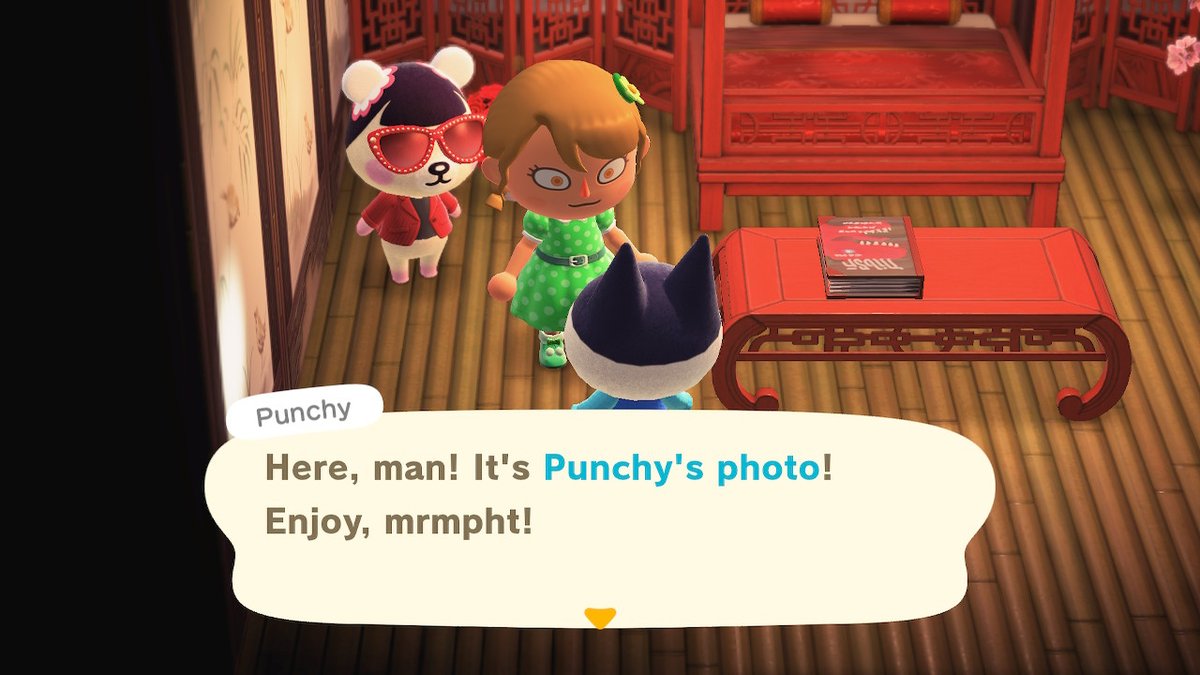 Sibcat_anything tweet media