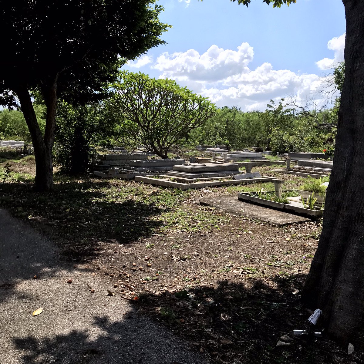Perderse en el cementerio, lo más top 🤙