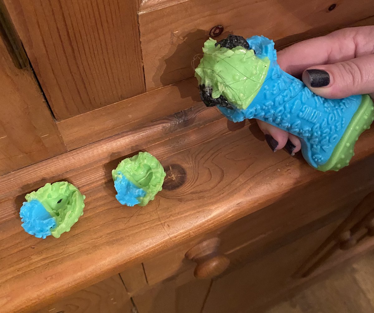 RealSimonPrice's tweet photo. @PetsatHome I thought Kong Toys were nearly indestructible? A spaniel managed to destroy this in 20mins https://t.co/SgerFvliV2