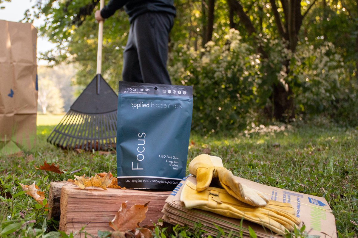 AppliedBotanics's tweet photo. About to tackle a yard full of leaves? It's time to Focus. 

#cbd #cbdoil #cbdforproductivity #livehealthyandhappy #Fall https://t.co/0ycJ9joUEw