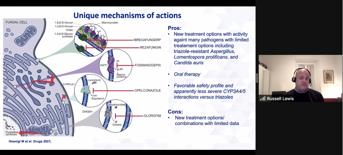 julie_justo's tweet photo. Dr. Russell Lewis giving us some amazing summary slides for existing &amp; upcoming antifungal agents. I appreciate him pronouncing these novel agents too 😅 @SIDPharm #SIDP2021 https://t.co/W5X2ZG6Ofy