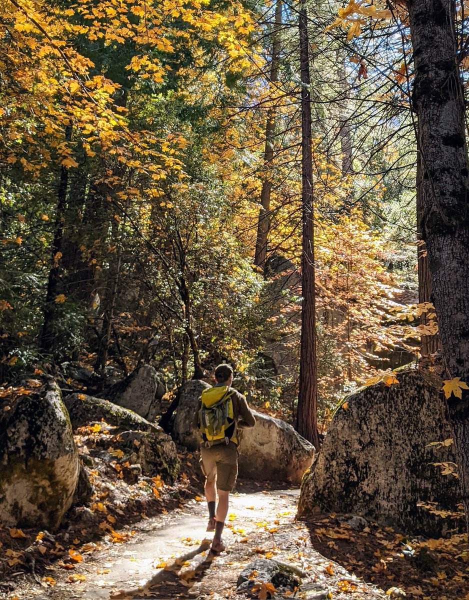 Steve Meier - 🏃‍♂️⛷️ 🎣 💆 California in Nature tweet media