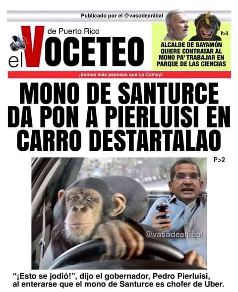 CarlosFortunoCa's tweet photo. Dicen que el gobierno soltó el mono para desviar la atención de las vistas sobre el Plan de Ajuste de la Deuda. Pero no dejes que se te trepe el mono y este lunes frente al Edif. Federal a rechazar a la Junta, sus propuestas y la jueza Laura Taylor Swain, títere de los bonistas https://t.co/57t5RO1Xjr