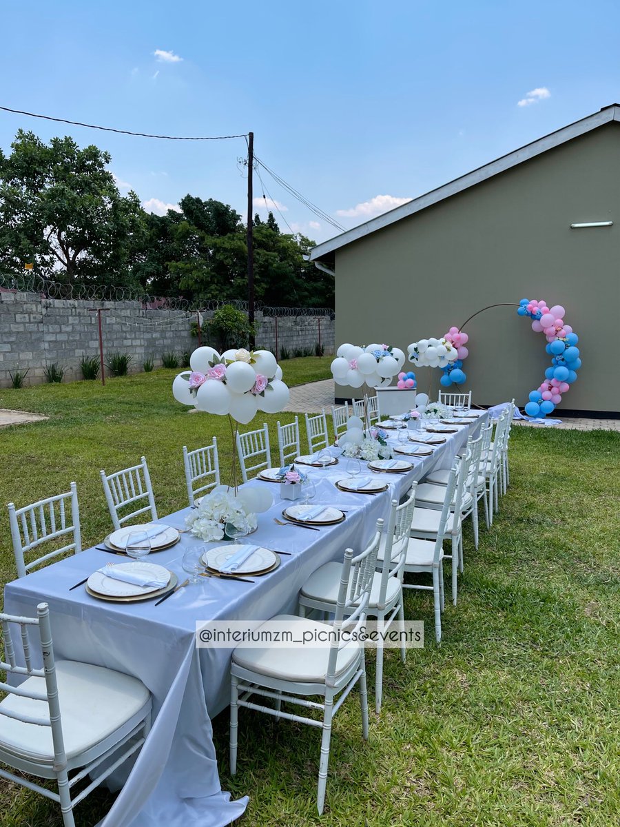 InteriumZ's tweet image. Gender reveal 🎉💙💗
#zedtwitter