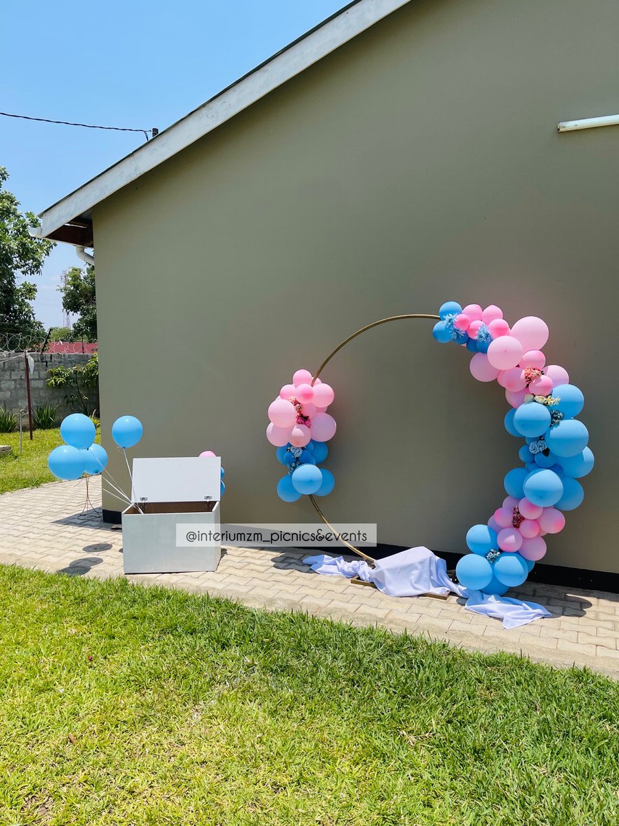InteriumZ's tweet image. Gender reveal 🎉💙💗
#zedtwitter
