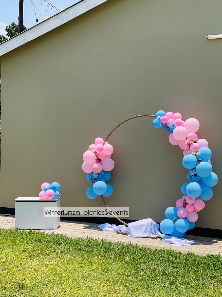 InteriumZ's tweet image. Gender reveal 🎉💙💗
#zedtwitter