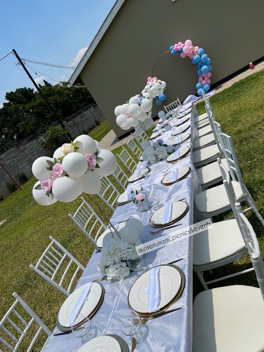 InteriumZ's tweet image. Gender reveal 🎉💙💗
#zedtwitter