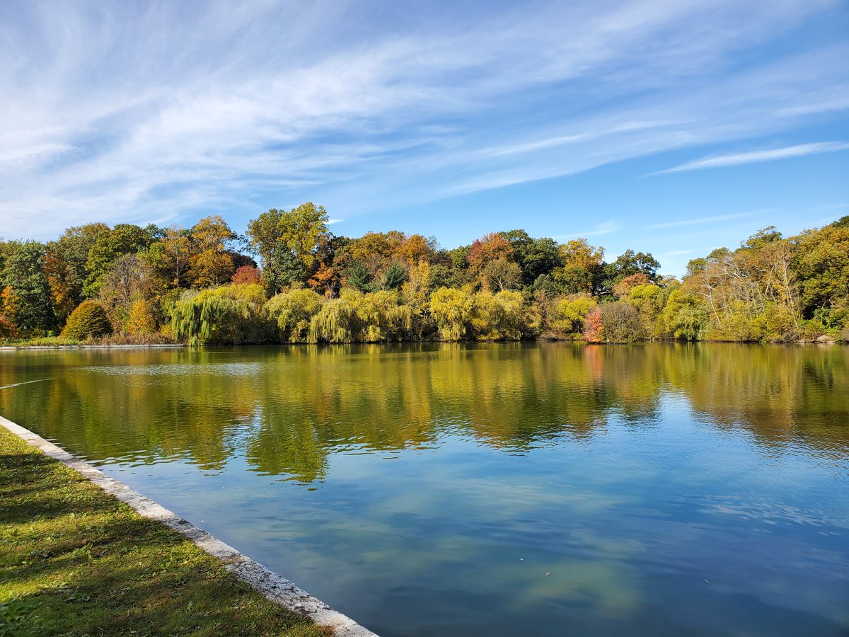 OurActivate's tweet photo. No need to travel far to enjoy nature and fall foliage in #NYC
There are plenty of green space/park near you.
#kissenaPark #fallcolors @NYCParks #NEQueens #nature #birds #lake #outdoor #KeepParksClean #wildlife @BirdQueens #greenspace #sustainabledevelopment https://t.co/66rP4fbqLg