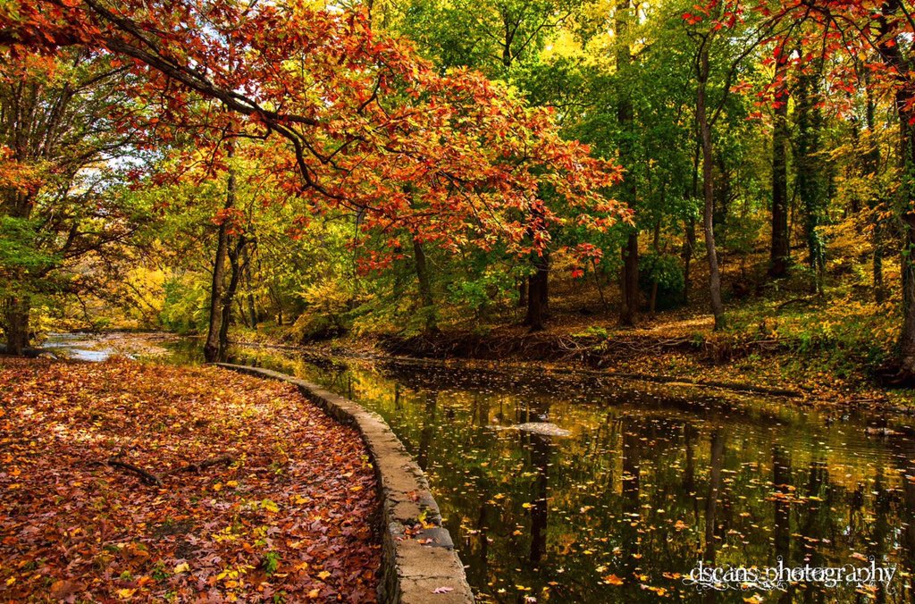 Look at this amazing fall palette created by the foliage along the creek inside Tacony Creek Park .  <a href="/myphillypark/">Fairmount Park Conservancy</a> <a href="/6abc/">Action News on 6abc</a> <a href="/6abcadamjoseph/">Adam Joseph</a>  <a href="/NBCPhiladelphia/">NBC10 Philadelphia</a>. <a href="/PhillyWeekly/">PhillyWeekly</a>  <a href="/visitphilly/">Visit Philly</a>  @CBSPhilly #taconycreek #taconycreekpark #fairmountpark #nature #naturephotography #trending