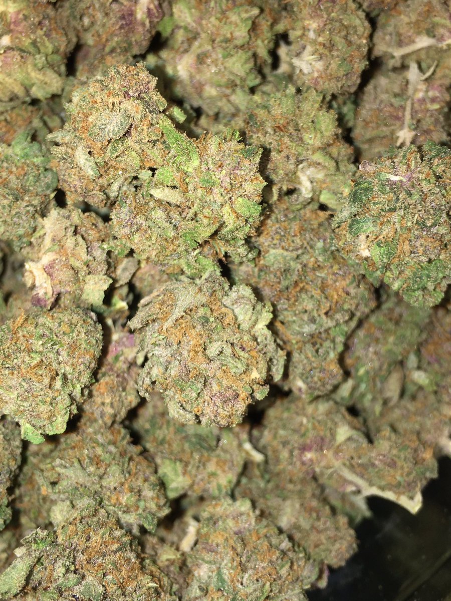 Greenpeacedisp1's tweet photo. BlackBerry Kush is patients who are unable to cope with nervousness, anxiety and stress. An Indica Strain with the terps of Myrcene and Limonene. https://t.co/dIFAsnxtPR