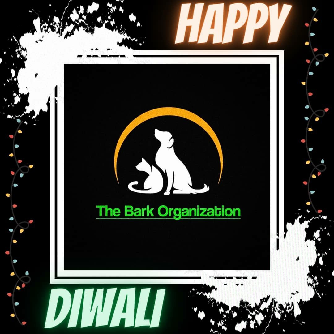 THEBARKCLUB10's tweet photo. #happydiwali 

It's often said, "Actions speak louder than words."

Therefore on this prosperous occasion of Diwali, we would like to reveal our 3 point motto at TBC. 

1.  #1vs♾️
2.  #NoMore50 
3. #adoptdontshop https://t.co/LdL5ba20sf