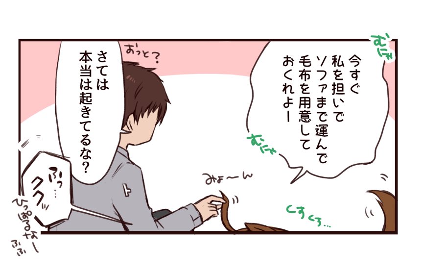ごめん寝じゃなくて狸寝入りでした(完) 