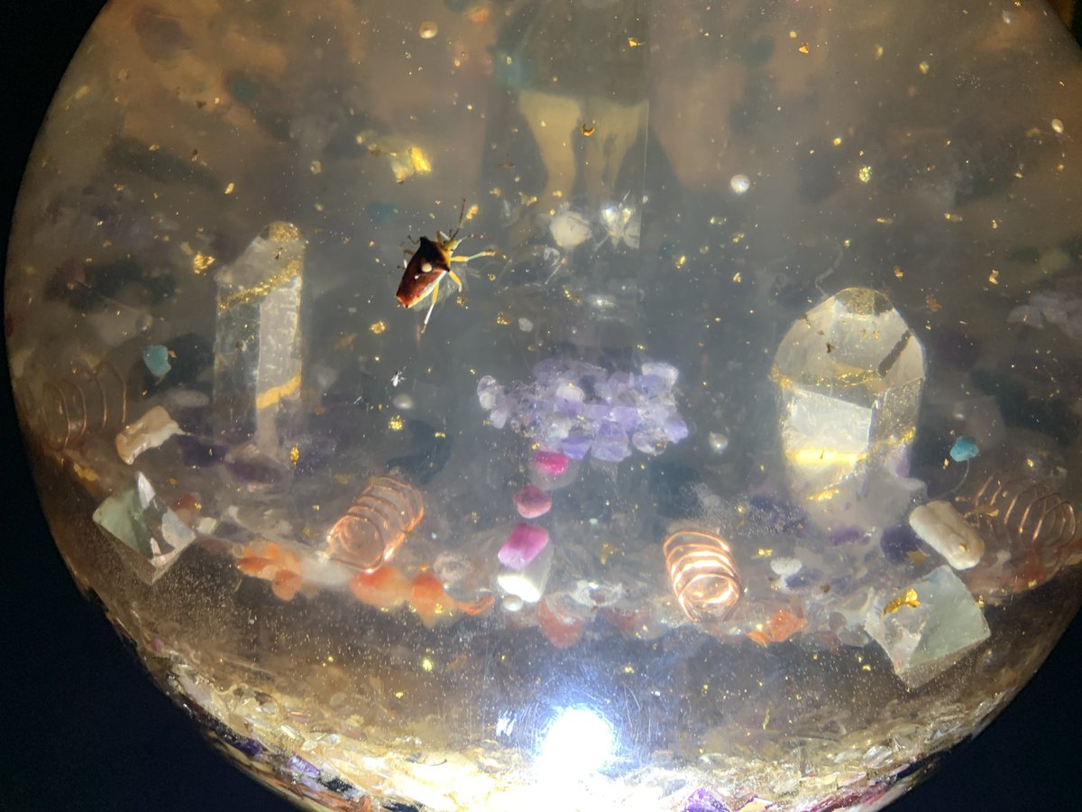 巨大オルゴナイトに💫
ハート模様のカメムシ🌿✨

#神聖な生き物
#カメムシ
#巨大オルゴナイト
#ハート模様
#自然　#いきもの
#アースデイ　#earthday2021 
#遊民谷　#群馬　#赤城山
#出展　#イベント
#spacelight