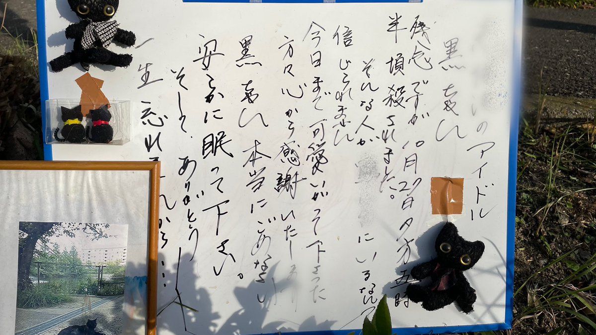 WadaikoYANmo's tweet photo. @Tomoegozen0719 黒ちゃんの死因が書いてあります���怖いですね。 https://t.co/6Tqz2iho1K