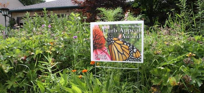 MonarchsJV's tweet photo. MJV's newest partner is the DuPage Monarch Project! DMP is a central hub for data on new and improved habitat and community engagement initiatives in DuPage County, Illinois. Learn more about their work: https://t.co/fQ074GnnXN #monarchs #collaborativeconservation #pollinators https://t.co/L6bMuWVGB3