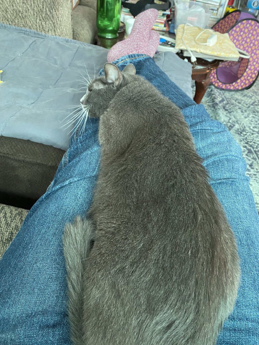 Mom finally sat down, so I can stretch out.