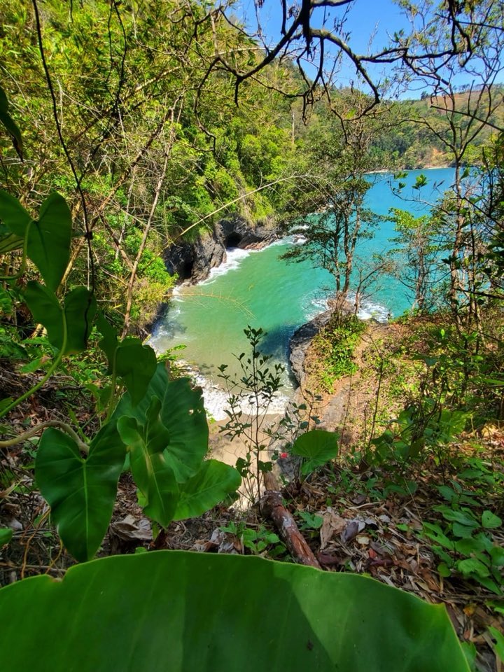 schack91's tweet photo. @BraydenCreation #holabeaches #TrinidadandTobago https://t.co/gtS8S1z5tV