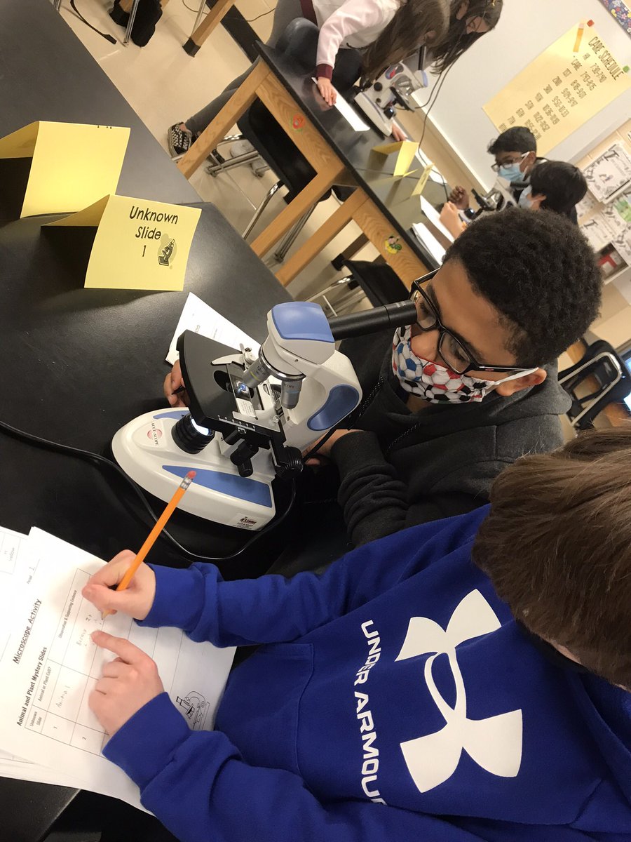 Karen O'Neill tweet media