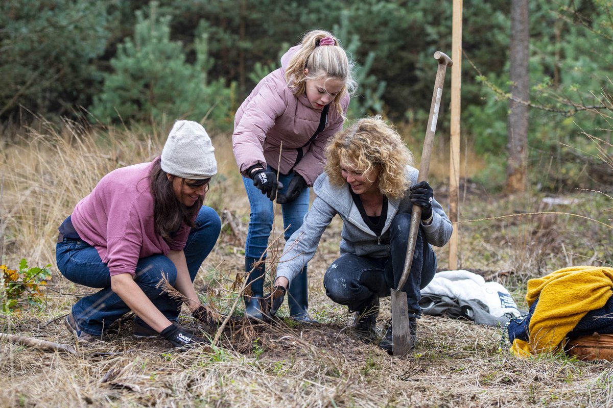 Zo'n 150 Mogelijkmakers van Technische Unie deden vandaag mee aan de TU Bomenplantdag. In samenwerking met @Natuurmonument werden in totaal 8.000 nieuwe bomen geplant in natuurgebied Planken Wambuis. 🌳🌳🌳 #tu