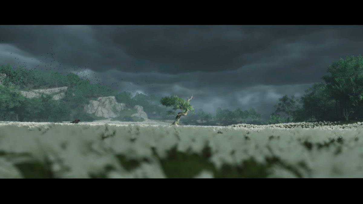 David Rubio Galán tweet media