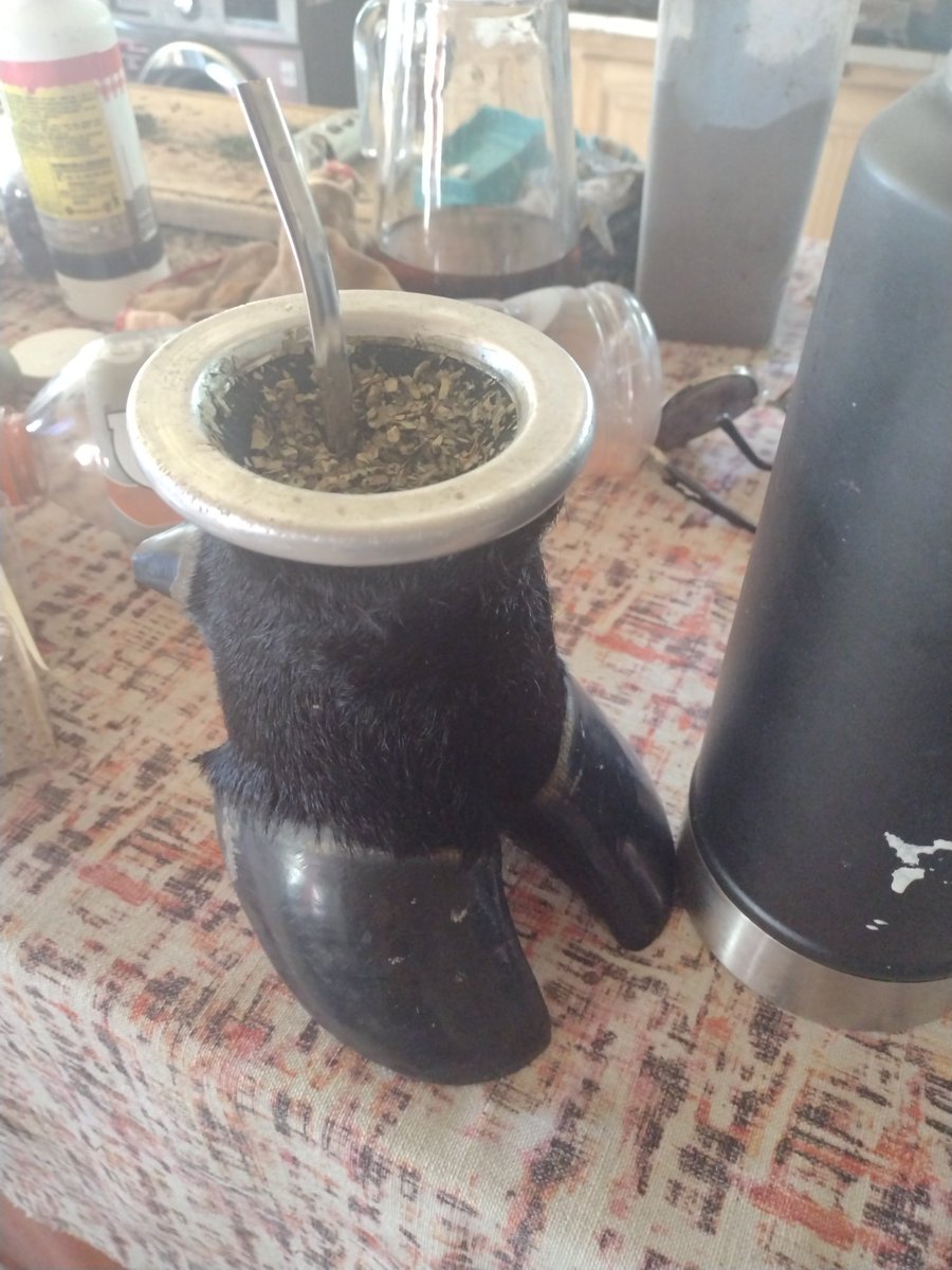 libriano3's tweet photo. @Vivoelsabado acá con groso el mate terminado hace rato y mirando @vivoelsabado https://t.co/6LjwbELsxE