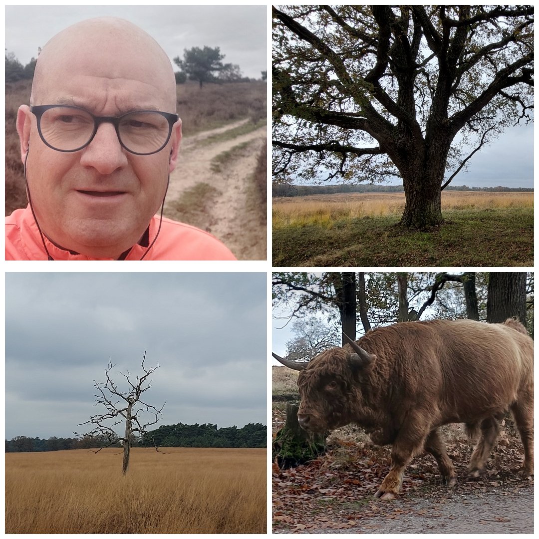 ron_wiegers's tweet photo. Lekkere 6 K op Deelerwoud op weg naar Acht van Apeldoorn
#midwinter #achtvanapeldoorn #runner https://t.co/Hx3QtTkcbf