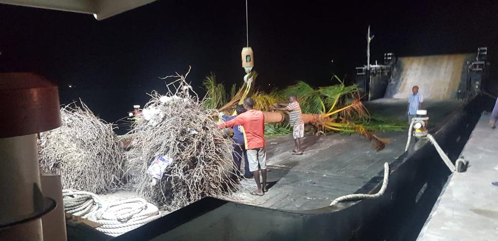 _har0un's tweet photo. Why are the palm trees uprooted from #Kudahuvadhoo being transported out of the island after you claimed it's stopped?! @EPAMaldives @anuahsa @MoEnvmv #maldivesatcop26 @AdhadhuMV @Mihaarunews @Dhaurunews @naeembe @lgaMaldives  #cop26 https://t.co/ieNiVq1Rmp
