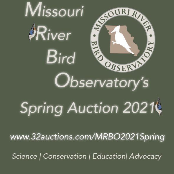 Last Day to bid on auction items! Find a great gift for a friend or family member. Maybe you know a young kiddo who loves the outdoors and nature? There are items for everyone! Auction closes at 6 pm CT.  #Auction #Gifts #Support

Check it out here: 32auctions.com/MRBOFall2021Au…