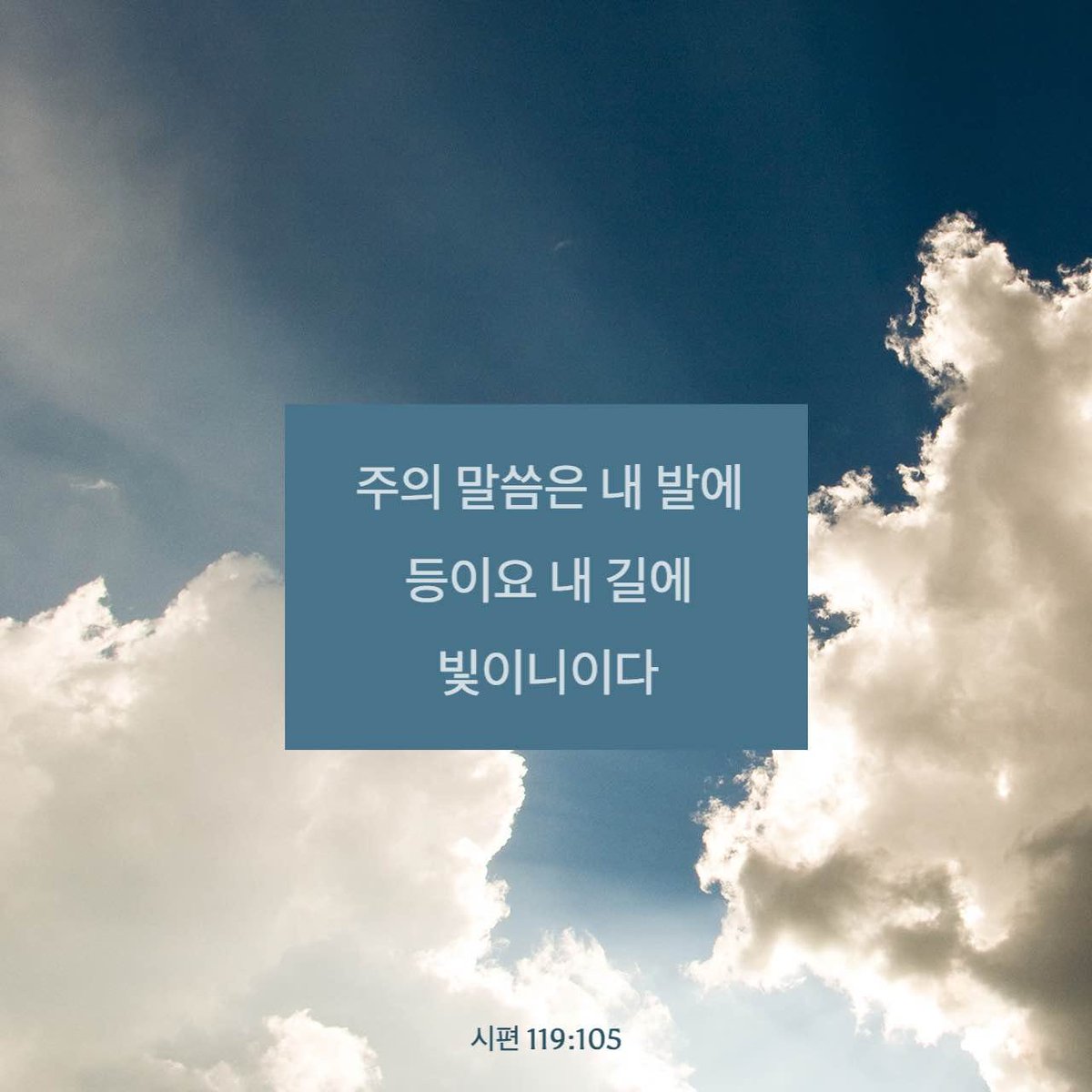 bellpie1 tweet picture