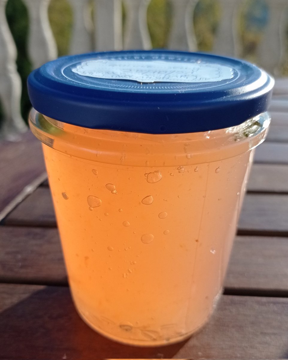 My lovely neighbour dropped round with a glass of quince jelly! 😋🤩 That will go very nicely with local cheese this winter.  #goodneighbours #preserves #quincejelly 🥰