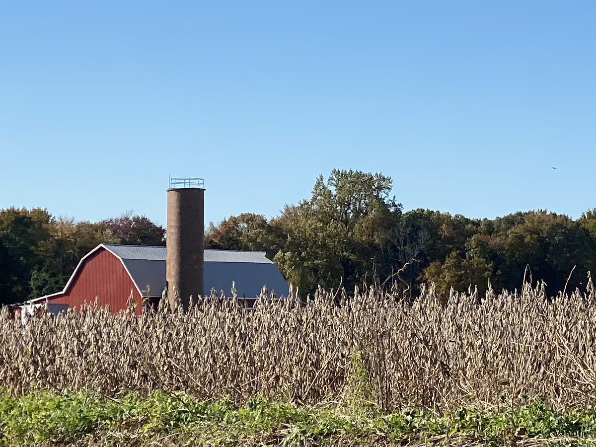 lisahfitz's tweet photo. Harvest 5Ks are great for photos- #HarvestHustle @AmericanCancer Delaware #5K https://t.co/ySdsYlJe22