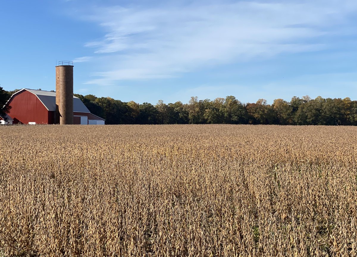 lisahfitz's tweet photo. Harvest 5Ks are great for photos- #HarvestHustle @AmericanCancer Delaware #5K https://t.co/ySdsYlJe22