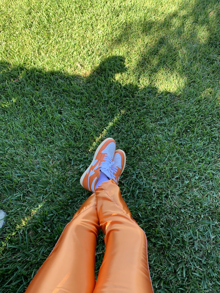 TemplexWolf's tweet photo. 🍊silk pants that I made &amp; a 🐮 https://t.co/PUSRAs5Q3p