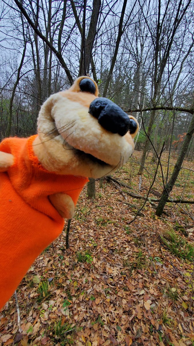 OtterTailCounty's tweet photo. Good luck to all the deer hunters out there. #HuntMN #DeerCampMN https://t.co/cd4VGYvFMi