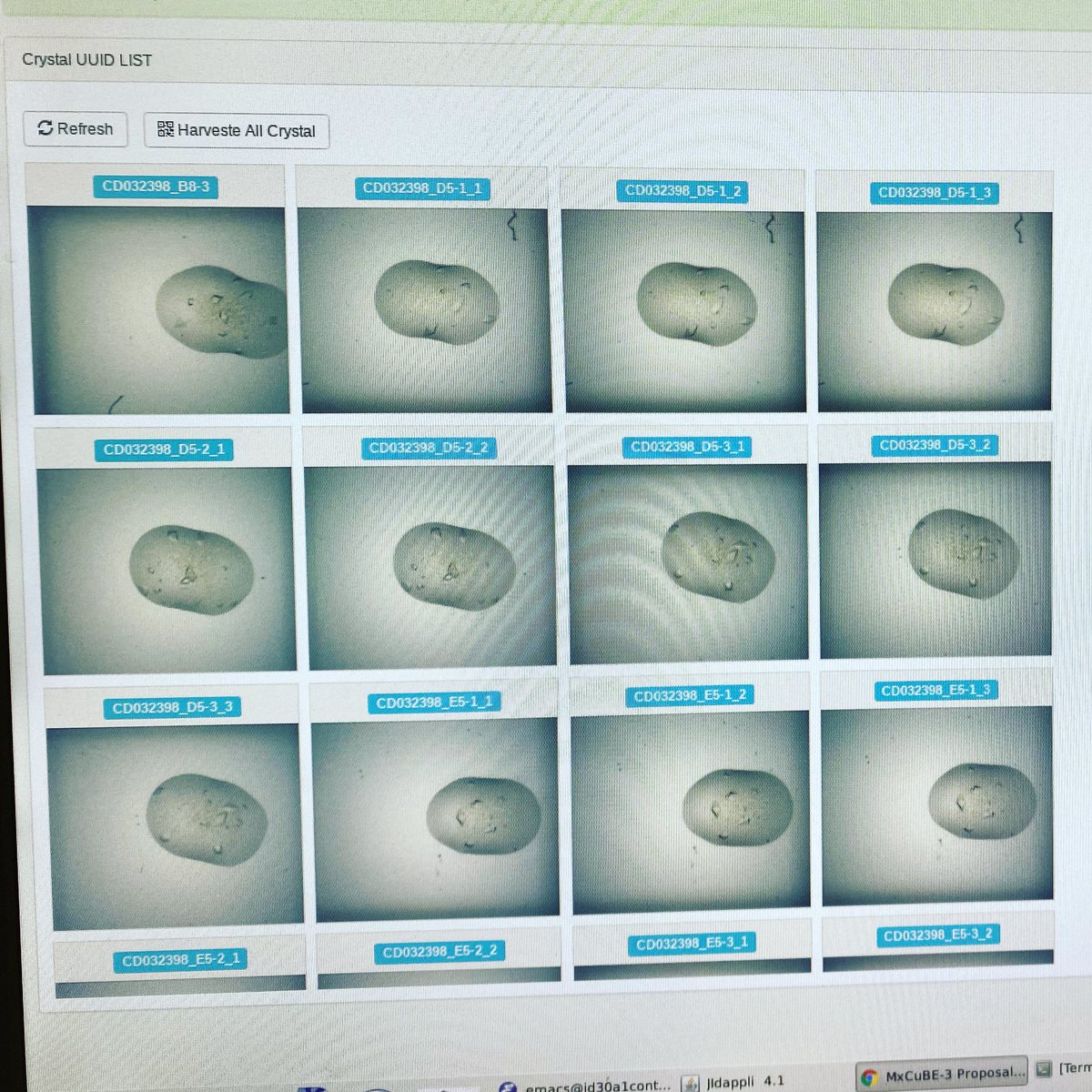 MASSIF1 (@id30_massif1) on Twitter photo We took the opportunity of short shutdown to do some software commissioning. Fantastic new <a href="/EMBLGrenoble/">EMBL Grenoble</a> crystal harvester features coming in <a href="/esrfsynchrotron/">European Synchrotron</a> MXCuBE3! We took the opportunity of short shutdown to do some software commissioning. Fantastic new <a href="/EMBLGrenoble/">EMBL Grenoble</a> crystal harvester features coming in <a href="/esrfsynchrotron/">European Synchrotron</a> MXCuBE3!
