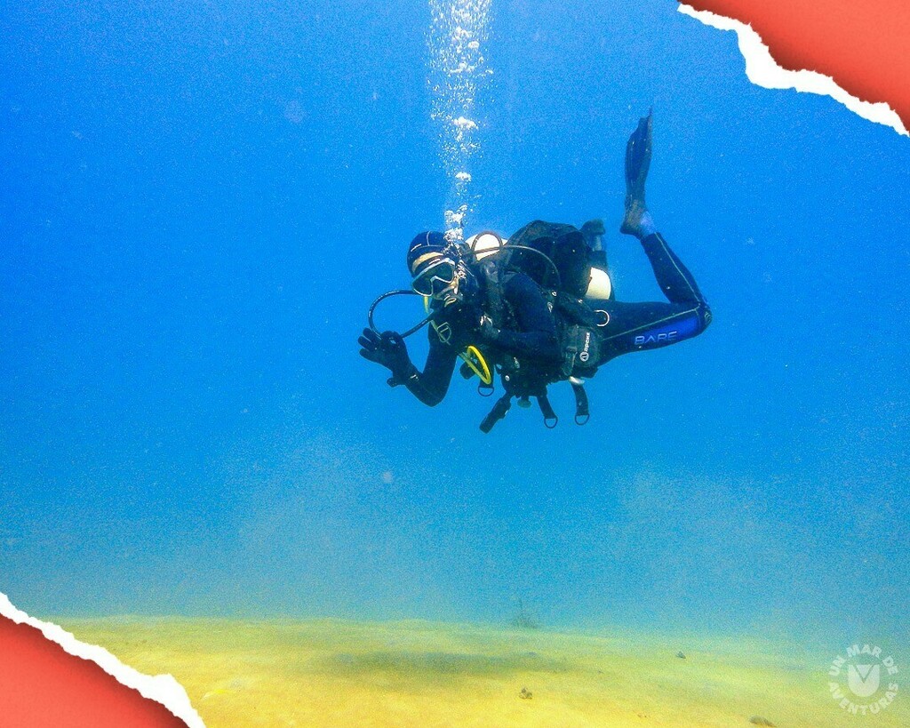 AzulScuba's tweet photo. Nosotros estamos hoy 👌🏻 sumergidos en el azul… ¿Y tú? 

#👌🏻AzulScuba #UnMarDeAventuras💦

#Scuba #CursosPADI #BuceoVenezuela #CursoDeBuceo #PADI #BuceoCaracas #ScubaDiving #Underwater https://t.co/XlNqW4ZCYZ https://t.co/JLKfeNj65g